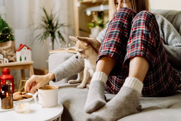 Cozy woman in knitted winter warm socks and sweater and checkered pajama eating cookies with dog, during resting on couch at home in Christmas holidays. Winter hot drink mug of cocoa or coffee.