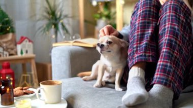 Noel tatilinde evdeki kanepede dinlenirken örgü ören sıcak çorap ve kazak giyen ve köpekle birlikte pijama yiyen rahat bir kadın. Sıcak bir bardak kakao ya da kahve..
