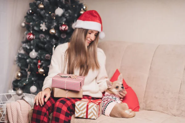 Mujer en Santa sombrero envolviendo cajas de regalo de Navidad con perro cachorro en suéter. Mujer sentarse y preparar regalos en el sofá con la decoración y el árbol de Navidad. Feliz Navidad o Año Nuevo DIY embalaje Concepto — Foto de Stock