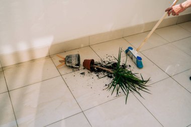 Kırık saksı yere dökülmüş toprak ve hasarlı bitkiyle birlikte. Yerleri paspasla siliyorum. Ev işleri - pisliği temizlemek. Kırık seramik çömlek ve balkonda kirli toprak olan bir çiçek kazası.