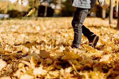 Kid having fun in autumn park with fallen leaves, throwing up leaf. Child boy outdoors playing with maple leaves