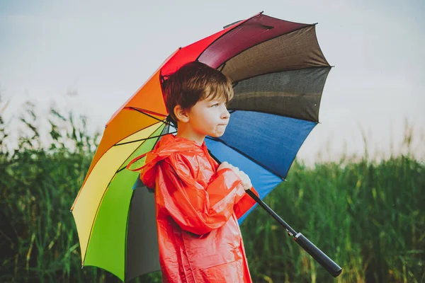 Portrait Smiling School Boy Rainbow Umbrella Park Kid Holds Colourful — Stock Photo, Image