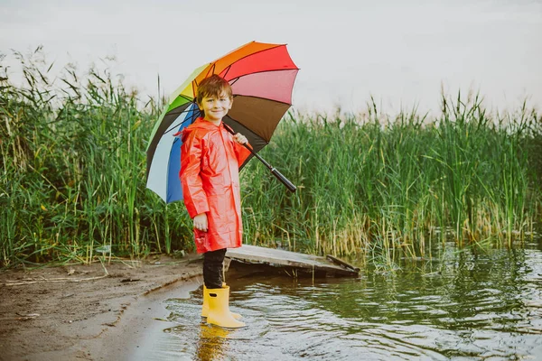 Boy in a red raincoat and yellow rubber boots stands at river bank and holding rainbow umbrella. School kid standing still near autumn lake. Child wearing waterproof clothes at shoreside.