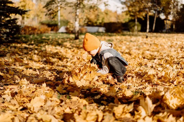 Kid Having Fun Autumn Park Fallen Leaves Throwing Leaf Child — Fotografia de Stock