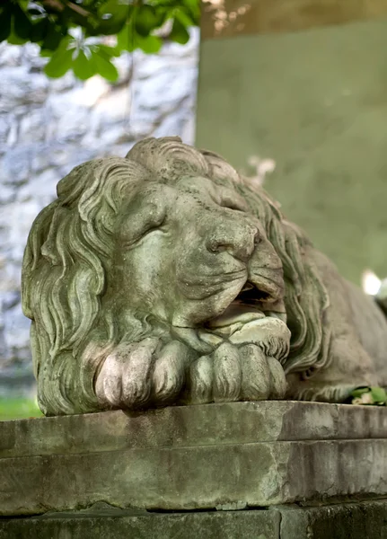 Lion statue in the streets of Lviv, Ukraine