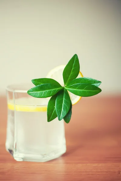 Glas saft eller lemon squash som sommaren dryck att släcka y — Stockfoto