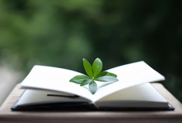 Book or notebook with leaves on neture background — Stock Photo, Image