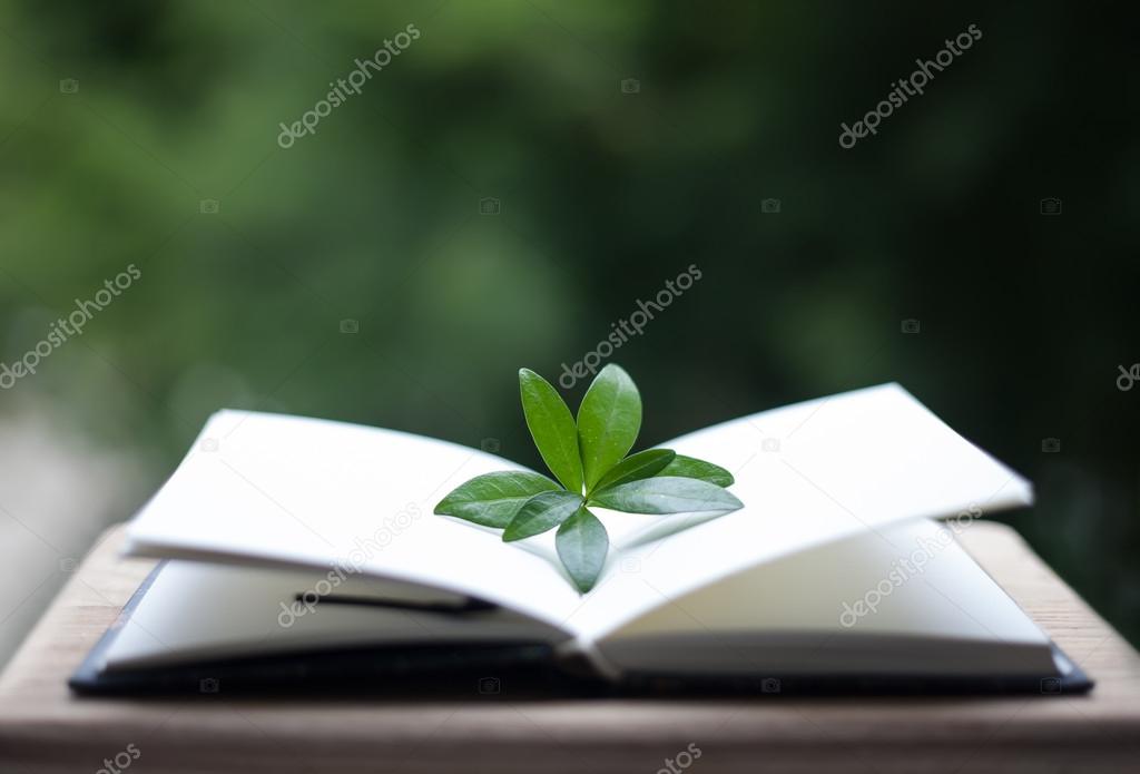 Book or notebook with leaves on neture background