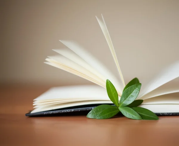 Book with leaves on the table and white background — Stock Photo, Image