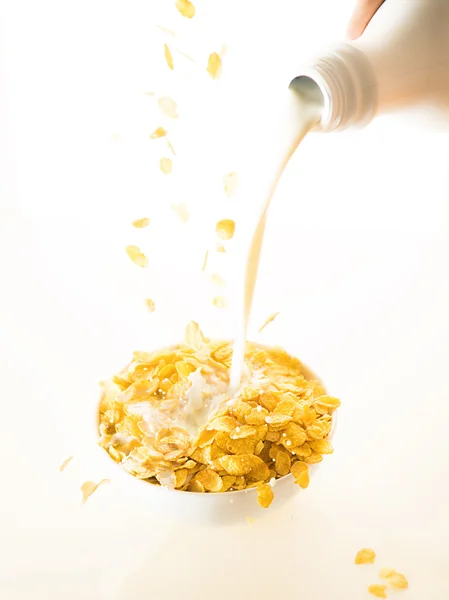 Cereals and milk — Stock Photo, Image