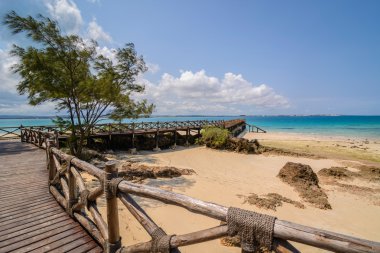 Zanzibar Prison island beach clipart
