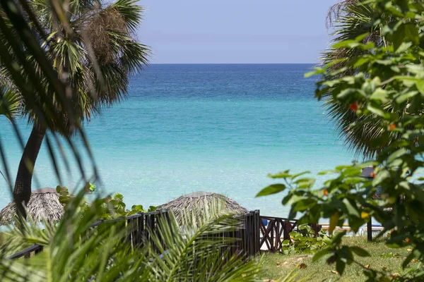 Wunderschöner Weißer Sandstrand Tropische Pflanzen Hölzerner Sonnenschirm Und Karibisches Meer — Stockfoto