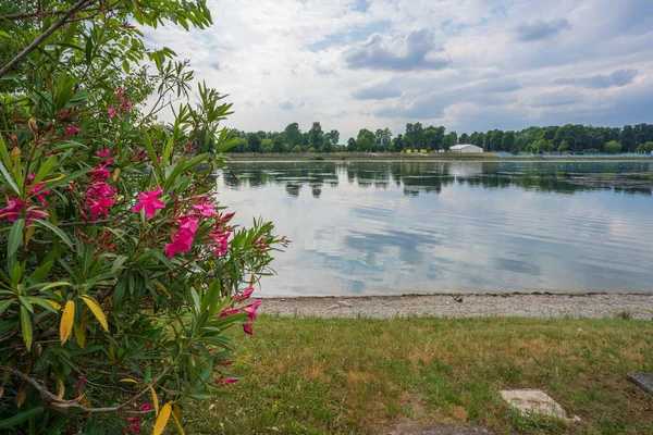 Idroscalo Lake Park Left Beautiful Flowers Cloudy Day Milan Italy — Stock Photo, Image
