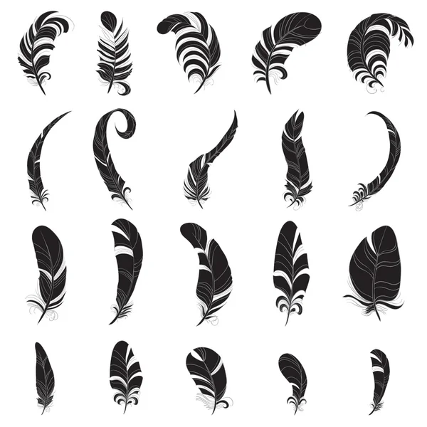 Set of black feathers sihluette — Stock Vector