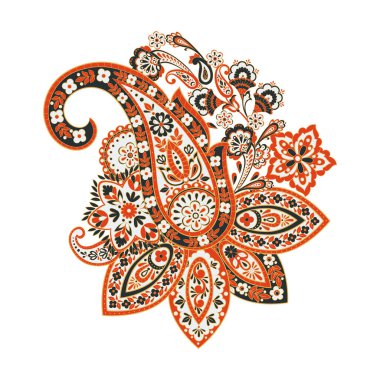 Paisley etnik izole edilmiş ya da isimlendirilmiş. Vektör illüstrasyonu