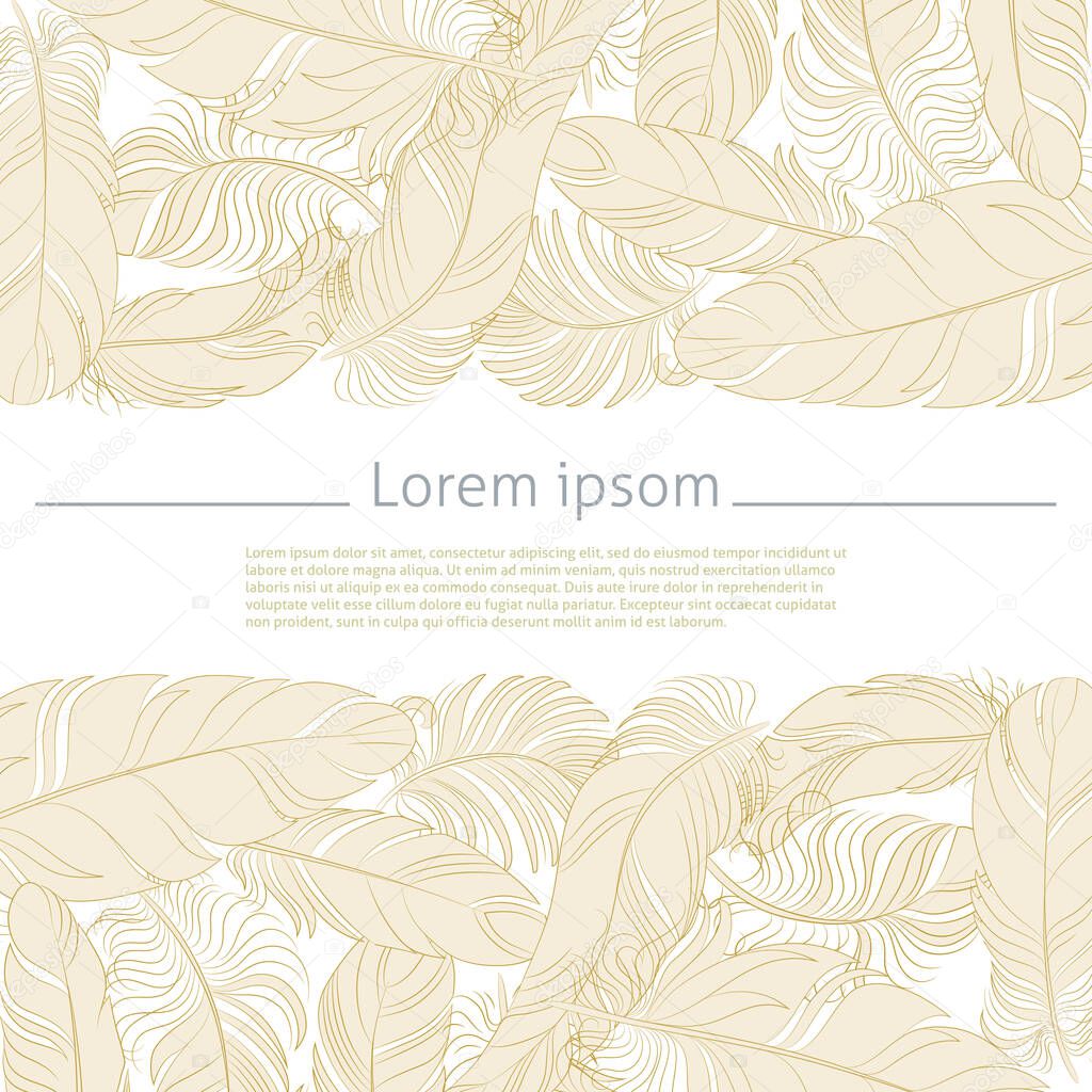 Feathers vector background for your text. Nature template for greeting card