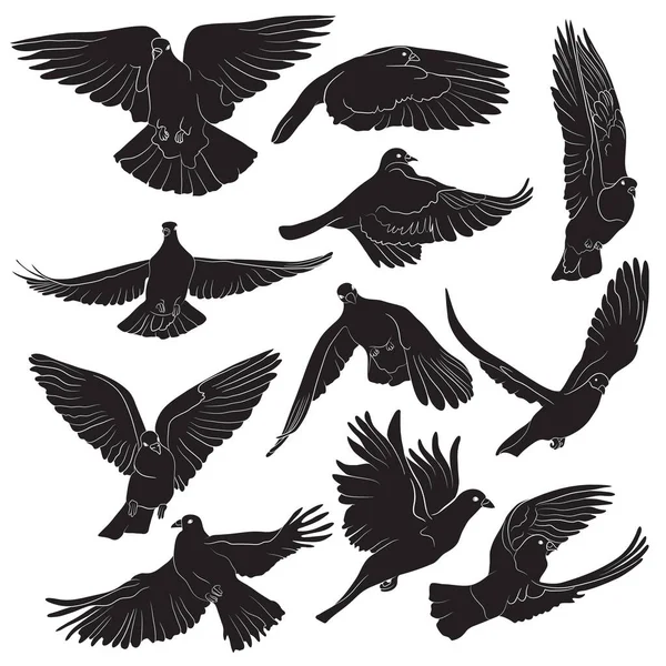 Conjunto Siluetas Aisladas Aves Voladoras Ilustración Vectorial — Archivo Imágenes Vectoriales