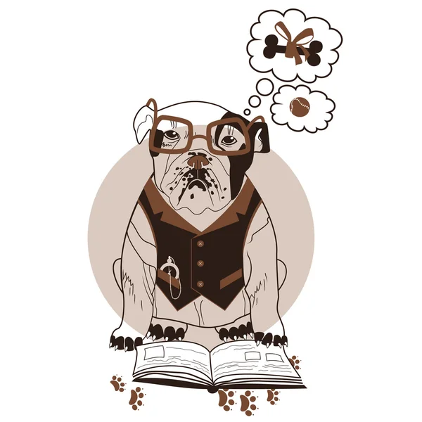 Smart bulldog — Stock Vector