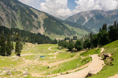 Sonamarg 'da yeşil ya da yaz mevsimi, Jammu Kashmir, Hindistan' da Himalaya Dağları, Asya
