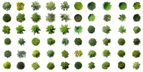 Große Sammlung Von Draufsicht Grüne Bäume Isoliert Auf Weißem Hintergrund — Stockfoto
