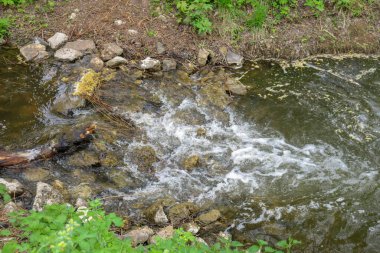 İlkbaharda su tezgahındaki taşlar