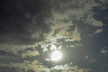 Mavi gökyüzü ve gri bulutlar güzel havada ormandaki ağaçların arka planında