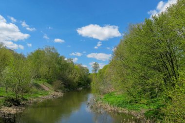 Mavi gökyüzü ve gri bulutlar güzel havada ormandaki ağaçların arka planında