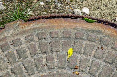 Metal paslı rögar ve çimenler