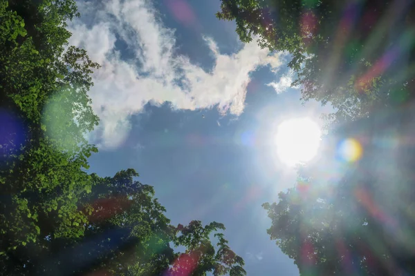 Cielo Blu Nuvole Grigie Con Bel Tempo Uno Sfondo Alberi — Foto Stock