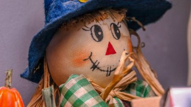 Gözleri olan oyuncak balkabağı. Kumaş bebek