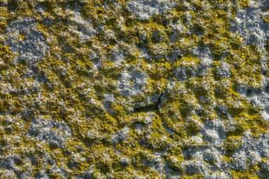 Eski sarımsı kumtaşının dokusu