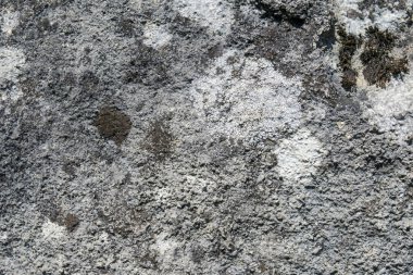 Eski gri kumtaşının dokusu