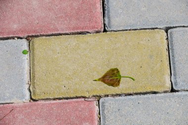 Doku için kırmızı-gri kaldırım taşlarının deseni