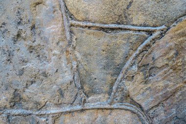 Eski taş duvar yosunlarla kaplıydı.