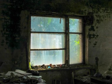 Duvarlarında çöp ve mantar olan terk edilmiş eski bir ev.