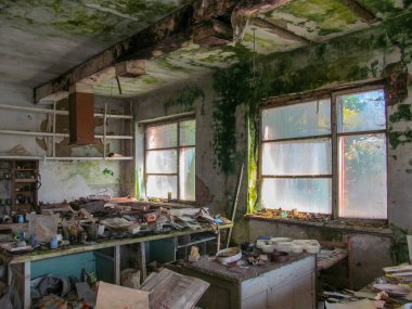Duvarlarında çöp ve mantar olan terk edilmiş eski bir ev.