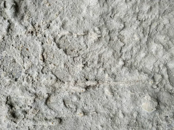 Eski gri beton duvar dokusu