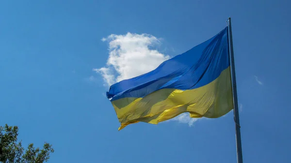 Yellow Blue Flag Ukraine Flutters Wind — Stock Photo, Image