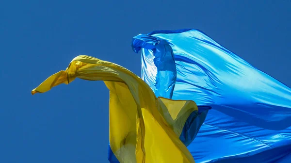 Die Gelb Blaue Flagge Der Ukraine Flattert Wind — Stockfoto