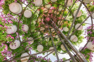 Şehirdeki parkta güzel kokulu çiçekler.