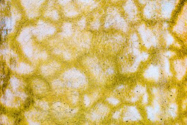 Şiddetli yağmurdan sonra beton duvar