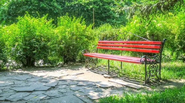 Banc Bois Rouge Dans Parc Près Des Arbres — Photo