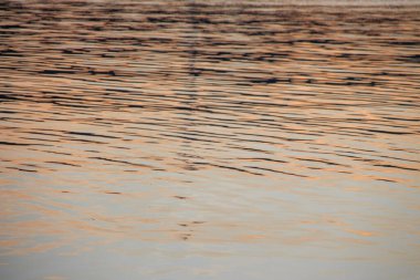 Gün batımı göletteki suda parlıyor.