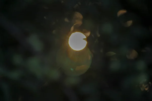 Defocus Gyönyörű Színű Fények — Stock Fotó