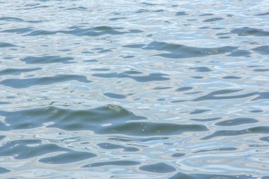 Gölde ve bitki örtüsünde su ve fırtına