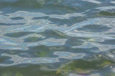 Gölde ve bitki örtüsünde su ve fırtına