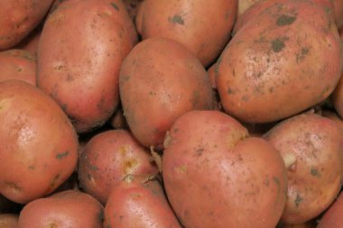 Bodrumda bir sürü kırmızı patates var.