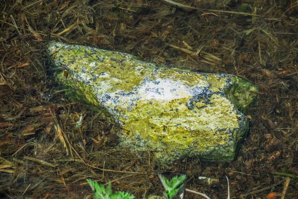 Pedra Amarela Água Lagoa — Fotografia de Stock