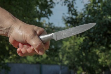 Mutfak bıçağı bir bahçenin arka planında