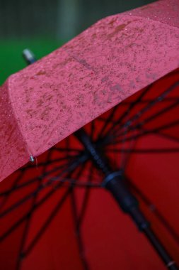 Yağmurdan sonra su damlaları olan büyük kırmızı şemsiye.